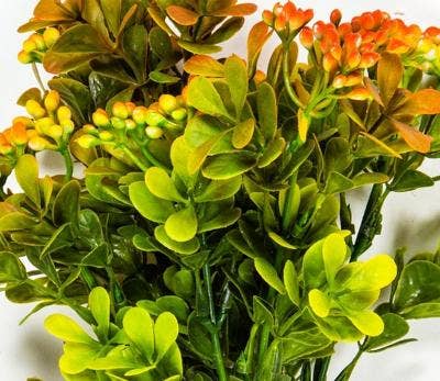 Wild Berry/Foliage Bunch, 12in, Orange, Green