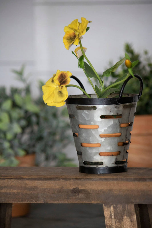 Olive Bucket Planter