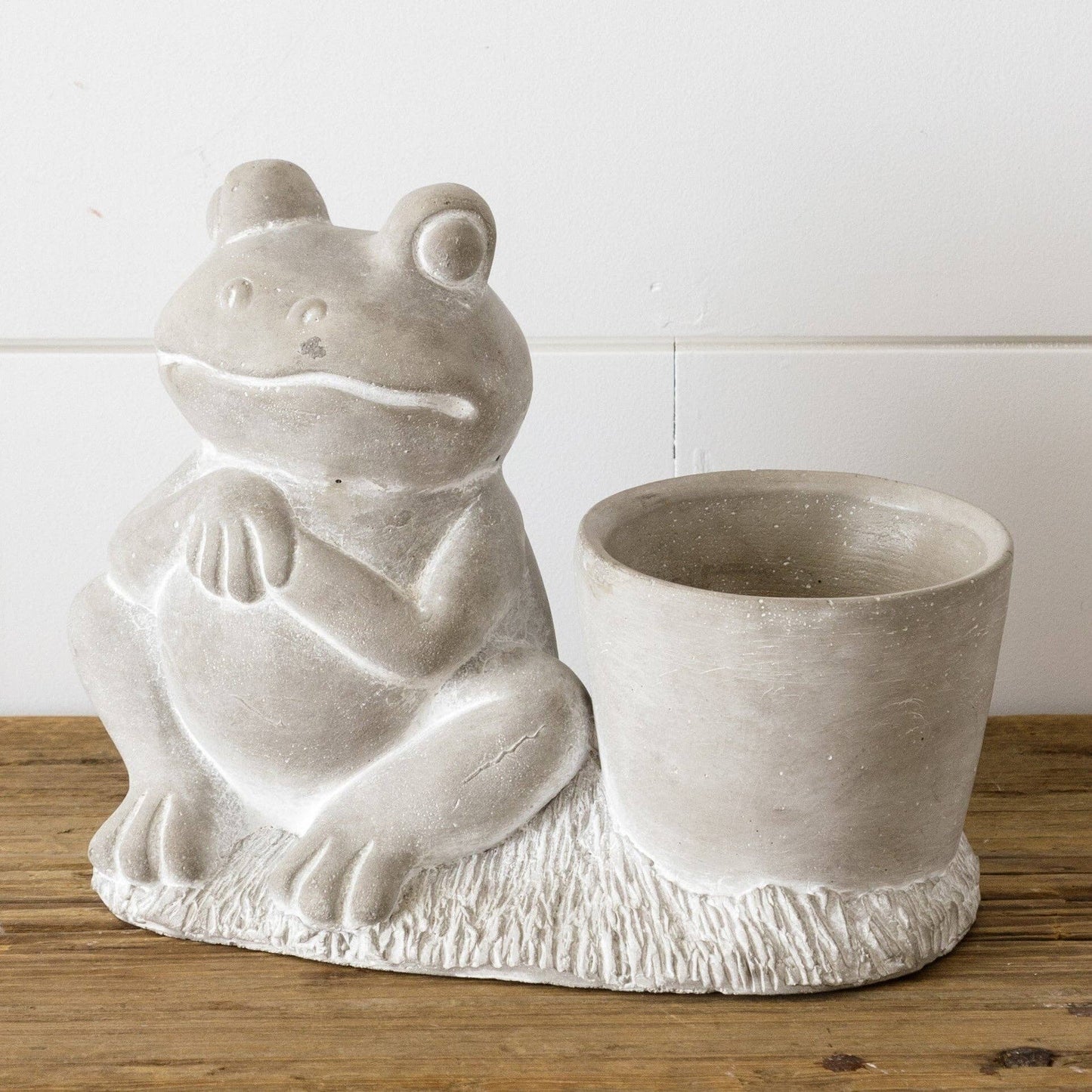 Cement Frog Planter