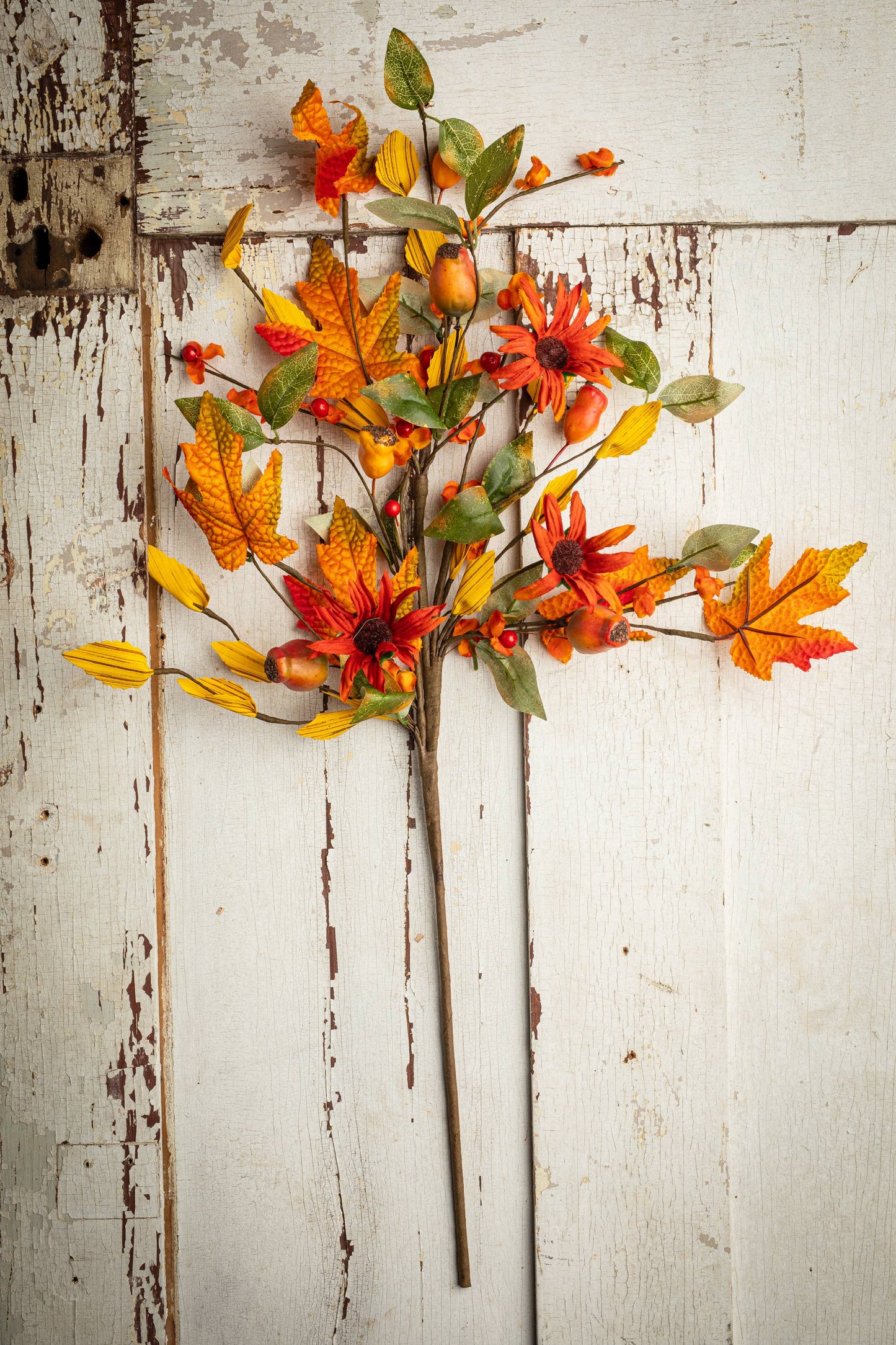 Fall Daisy Spray With Bittersweet & Pods, 28 In