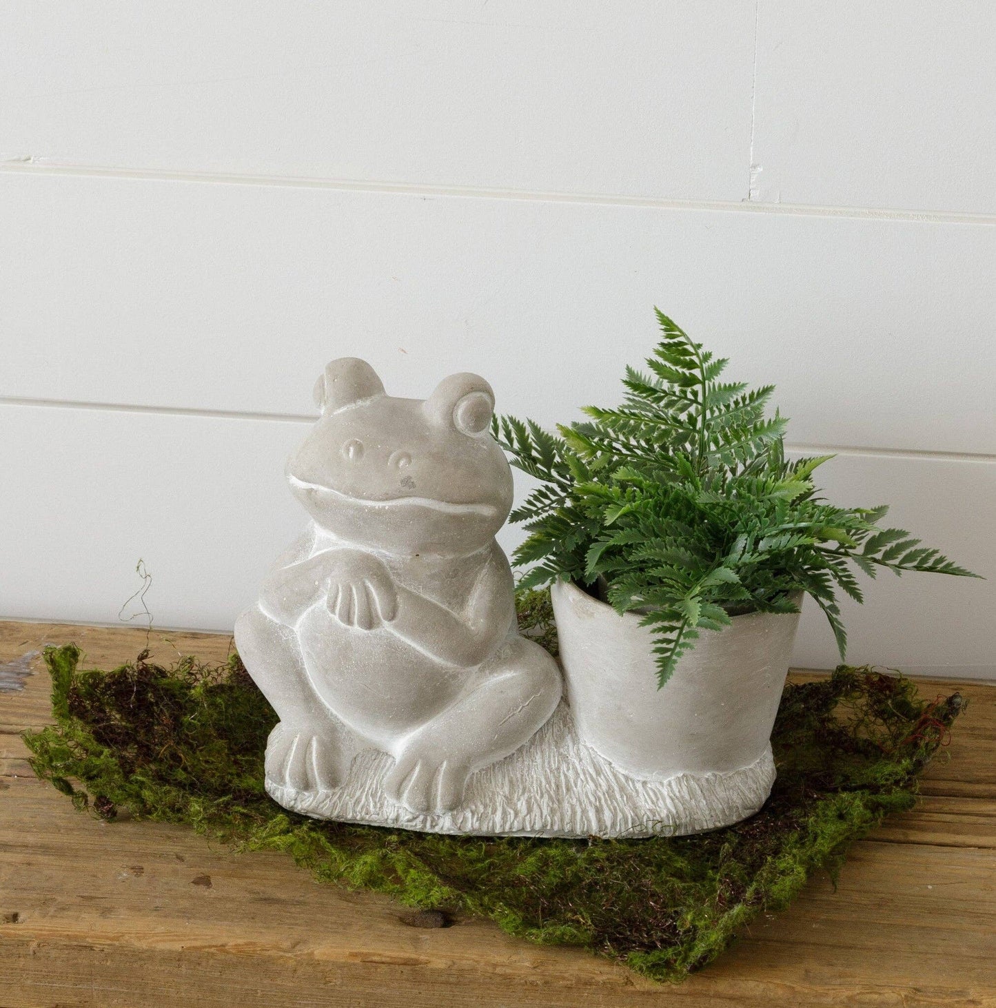 Cement Frog Planter