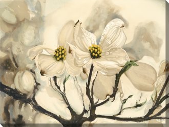 Art - White Dogwood