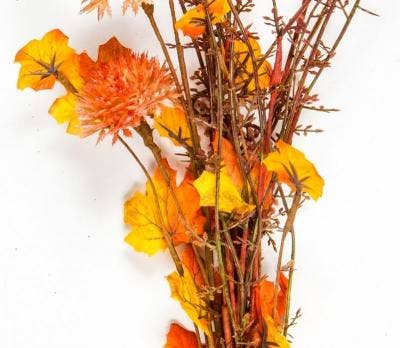 Wild Flower, 20in, Hw, Orange