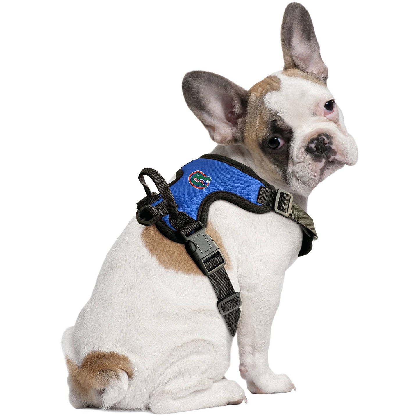 NCAA Florida Gators Front Clip Pet Harness